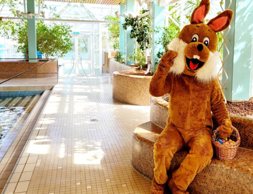 El Conejo de Pascua llega al Panoramabad Bornheim